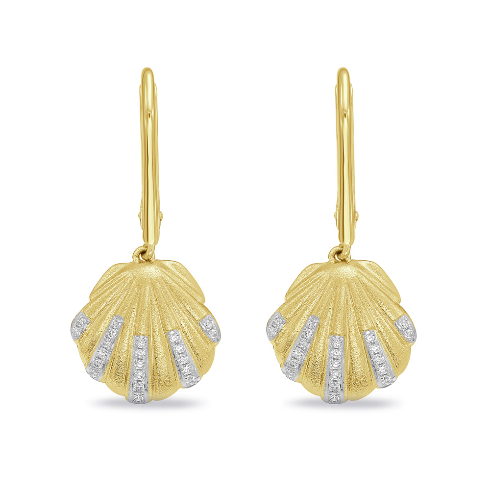 14k 12mm sea shell earrings
